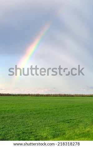Rainbow after the rain over the summer field