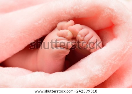little baby feet wrapped up towel