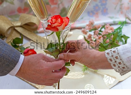 Elderly man\'s hand giving a rose to a woman\'s hand