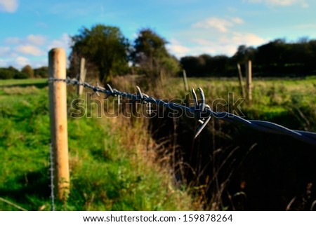 Barbed wire fence in English pasture.