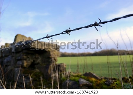 Barbed wire fence with old stone wall in background.