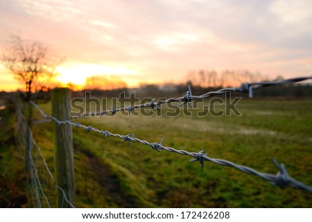 Barbed wire fence as the sun rises in Wigan, England.