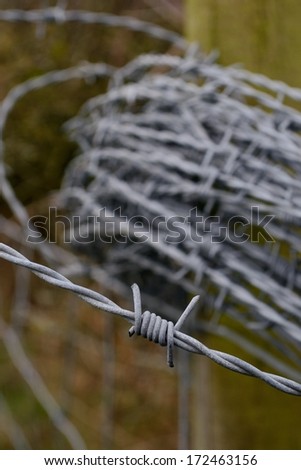 Coiled barbed wire around wooden fence post.