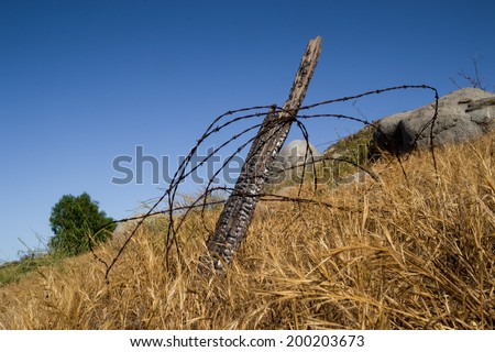 The burnt post with barb wire in the California landscape.