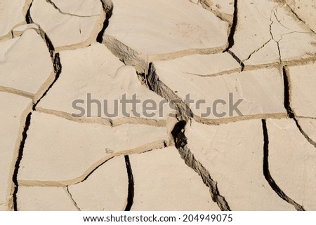 The dry soil in the hot California sun.