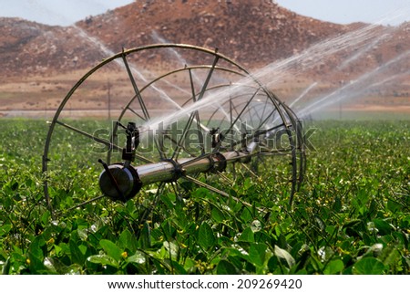 Irrigation sprinklers watering the fields in Southern California.