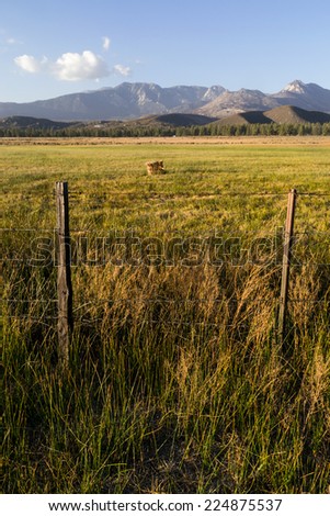 The fence line out in the California countryside.