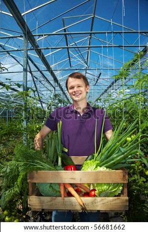 Happy farmer with vegetable box in a greenhouse