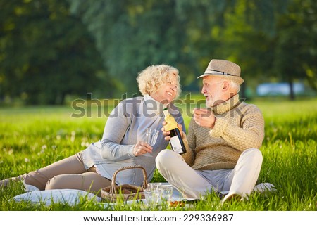 Happy senior couple drinking wine in summer at a picnic