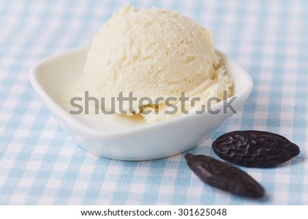 Scoop of homemade tonka bean ice cream with two tonka beans