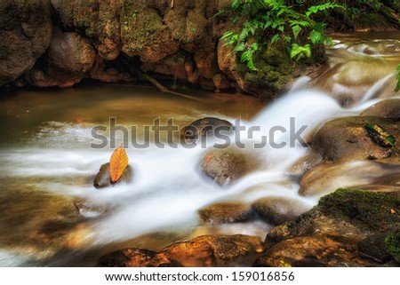 Small waterfall. Streams are white. Flows through natural rocks. The leaves are falling on the rocks.