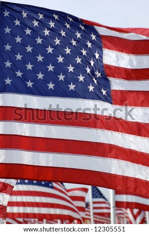 Field of American Flags