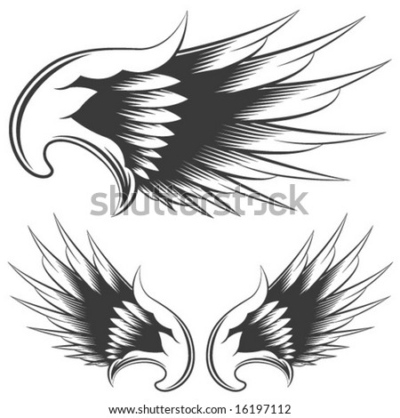 Eagle Wings Drawing on Isolated On White Eagle Wings Vector Drawing Find Similar Images