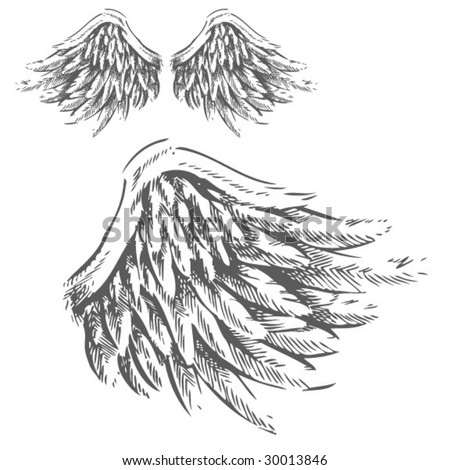 Dove Wings Drawing