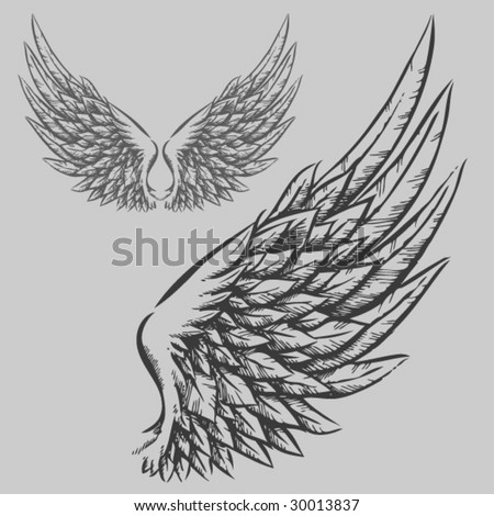 Eagle Wings Drawing on Wings  Hand Drawn Vector Illustration    30013837   Shutterstock