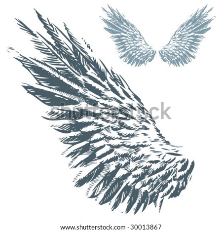 stock vector Wings Hand Drawn Vector Illustration 