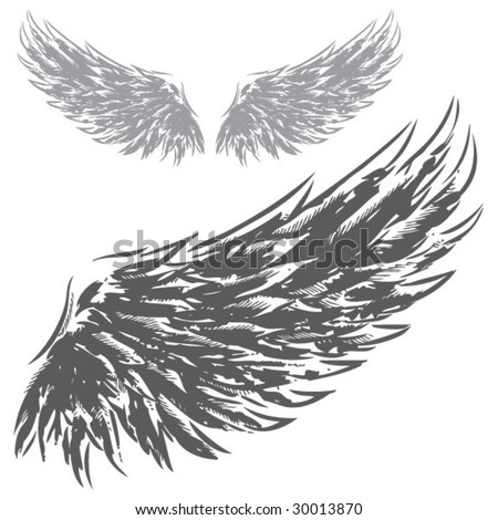 stock vector Wings Hand Drawn Vector Illustration 