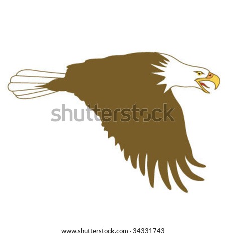 bald eagle, golden eagle, eagles soar, kite, flying eagle, tattoo eagle,