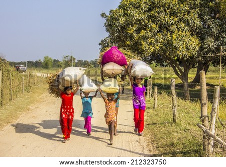 JANAKPUR, NEPAL - MARCH 19, 2014: Young nepalese farmers are carrying bags on their heads. The bags are filled with leaves from the fields. They are wearing colorful clothes.