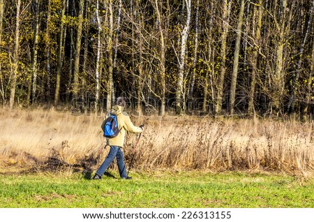 BAD BELZIG, GERMANY - SEPTEMBER 11, 2013: A wanderer, using walking sticks is walking along an autumn forest.