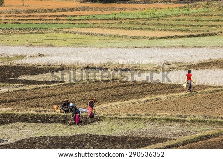 NIAUNGSHWE, MYANMAR - FEBRUARY 4, 2015: Tribal people are working on their fields on the road from Niaungshwe to Loikaw, Myanmar.