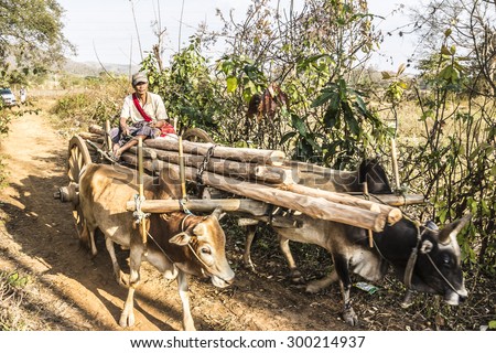 LOIKAW, MYANMAR - FEBRUARY 7, 2015: A farmer is driving his bullock cart along a rural dirt road near Loikaw, Myanmar.