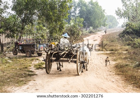 MAWLAMYINE, MYANMAR - FEBRUARY 12, 2015: A farmer is sitting on top of a  bullock cart, making a transport on a country road in the surrounding countryside of Mawlamyine, Myanmar.
