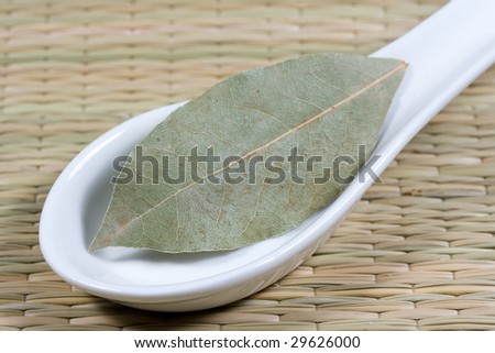 laurel leaves on a white spoon