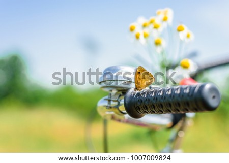 Enjoy a warm sunny spring day with a bike tour through lovely green spring flower covered landscape where everything is full of colorful life and butterfly and bees are around you