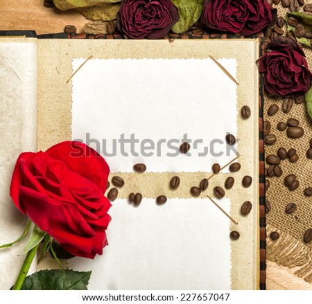 photo album and red roses on coffee seeds