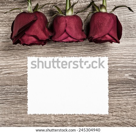 Red rose flower with blank sheet on wood background