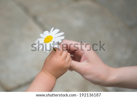 Little baby giving white flower to mother