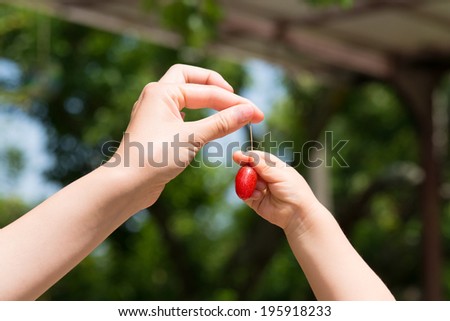 Mothers hands give  Elaeagnus to child's hands
