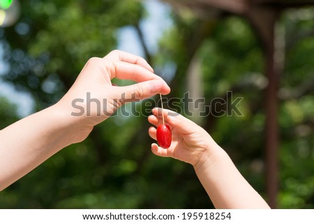Mothers hands give  Elaeagnus to child\'s hands