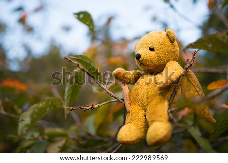 Girl with a stuffed toy bear