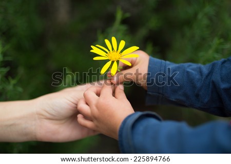 Little baby giving Yellow flower to mother
