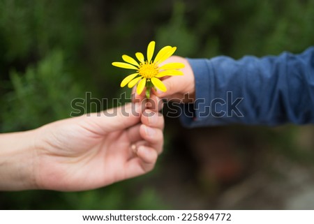 Little baby giving Yellow flower to mother