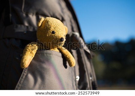 Stuffed toy bear that went into the pocket