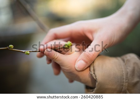 Parent-child hands touch the sprout
