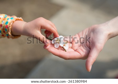 Mother and child to hand over the plum flower