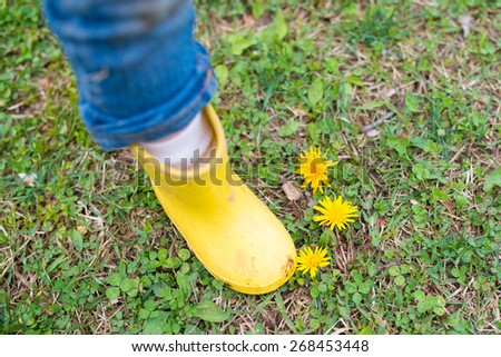 Dandelion flowers and children\'s rain boots