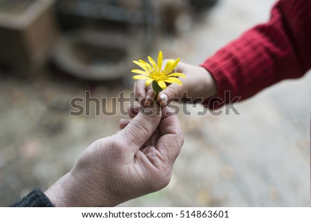 Granny and granddaughter handing flower