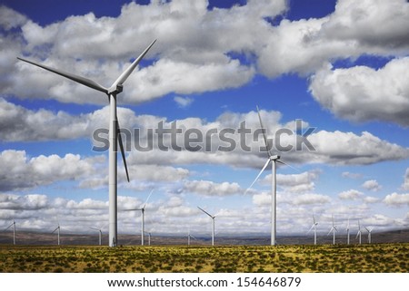 This wind turbine farm is on a flat desert area above the Columbia River Gorge on the Oregon side of the river.