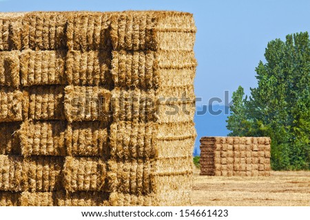 These large hay bales are stacked in a field and await pick up for storage in a barn.