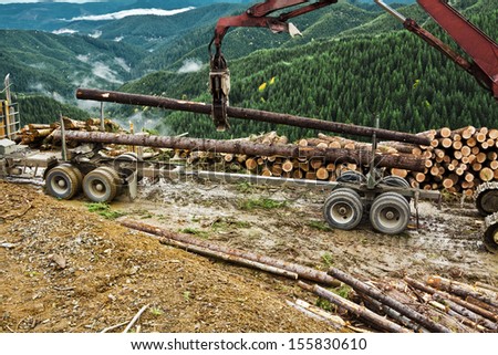 After the log truck trailer is secured to the truck hitch, the loader starts loading logs onto the truck and trailer combination.