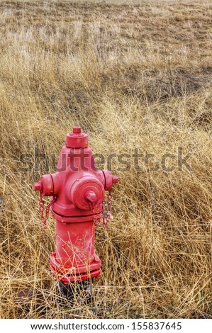 In a field of dry grass there is nothing like being prepared for a fire than having a fire hydrant there.