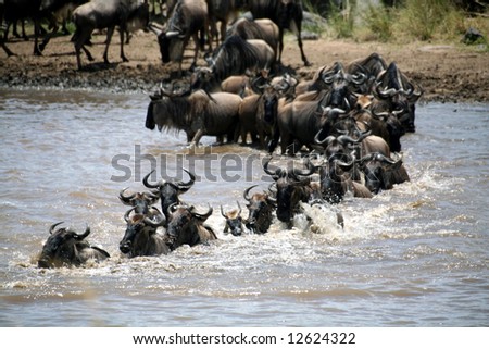 Masai River