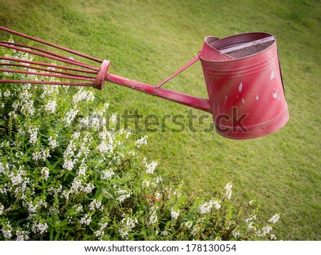 Colorful garden (watering can)  accessories on green grass background