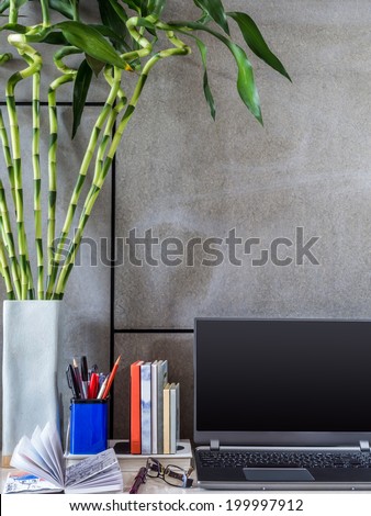Laptop with vase of Lucky bamboo on desk in modern room