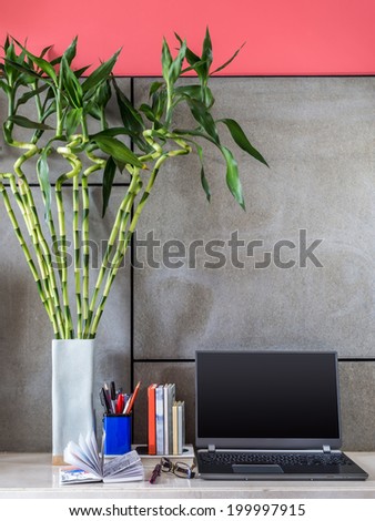 Laptop with vase of Lucky bamboo on desk in modern room
